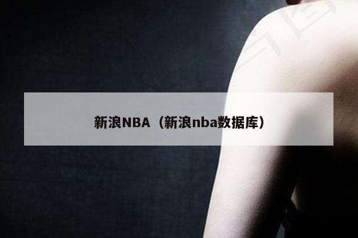 新浪NBA（新浪nba数据库）