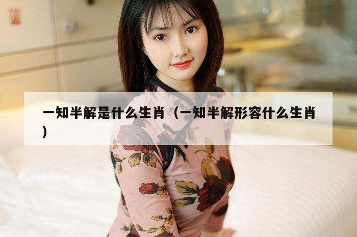 一知半解是什么生肖（一知半解形容什么生肖）